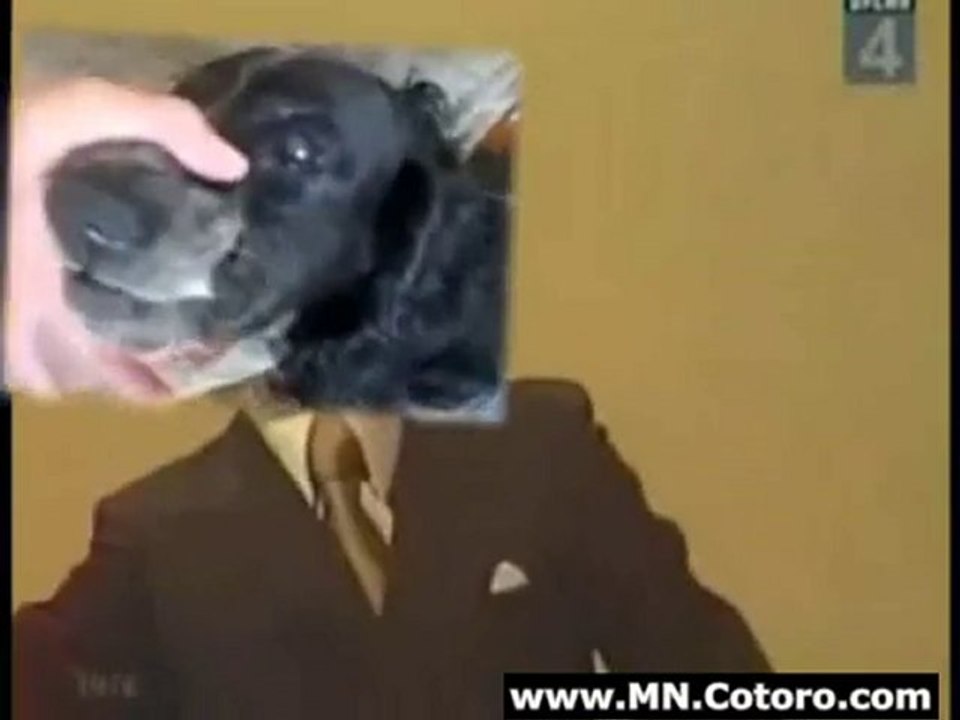 Beat Boxing Dog Does Trololo