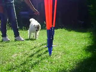 Son début en slaom du 3/09/2010 par Chipie-love02