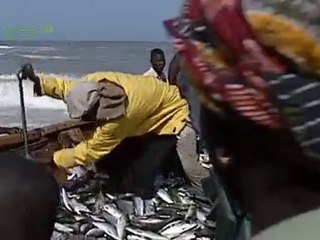 Drop into the Ocean - Part 1