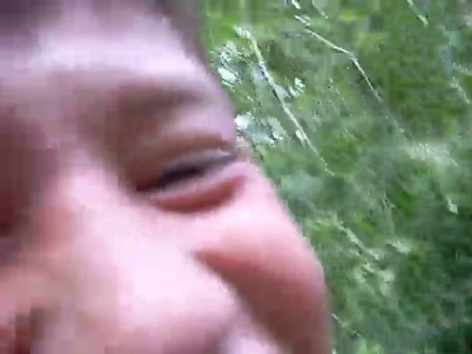 Cassage de branche =D