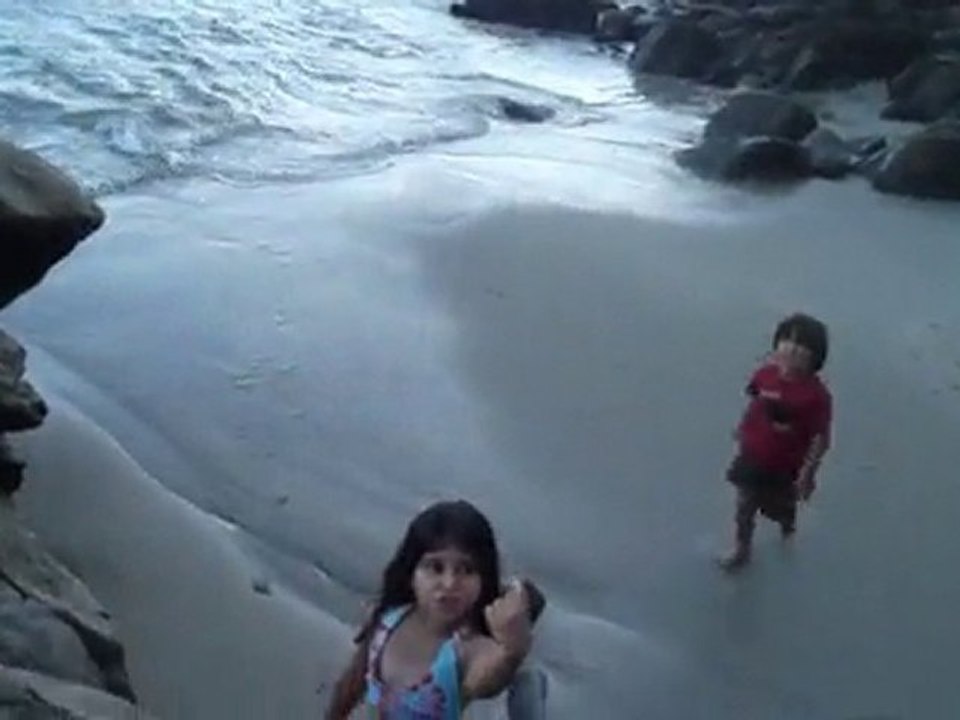 beach 2010