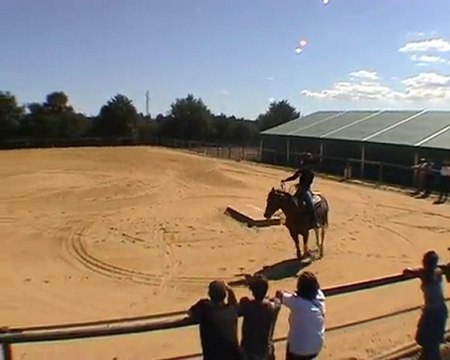 Equitation Western, travail fondation étalon Paint Horse