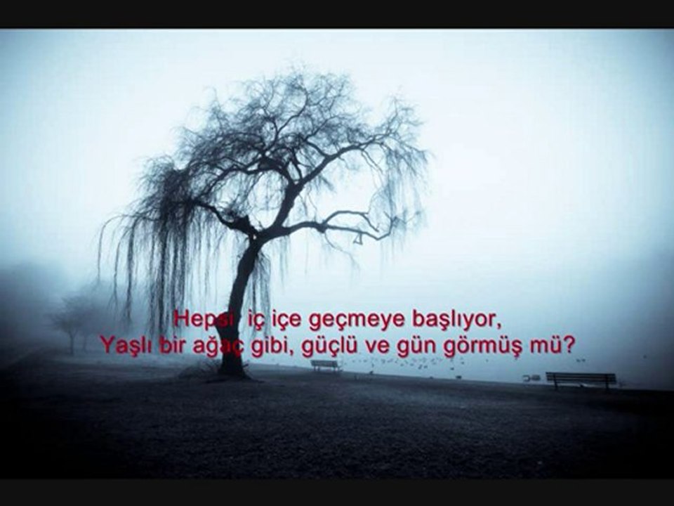 Şiir_Tp