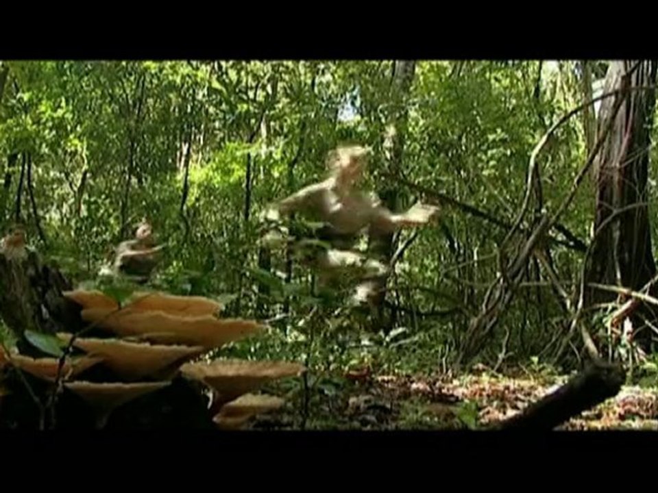 Unbreakables (W9) présenté par Taïg Khris