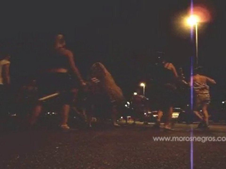 Ensayo_satrapa