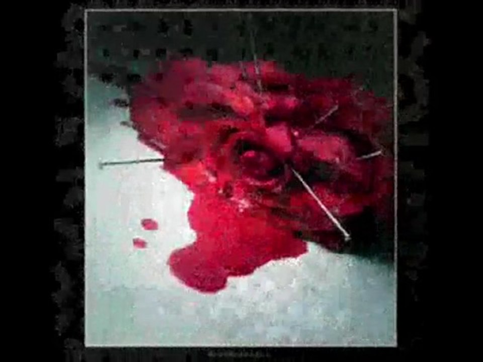 Ferdi Tayfur Acılar (şiirli) Yaralı60......