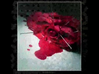 Ferdi Tayfur Acılar (şiirli) Yaralı60......