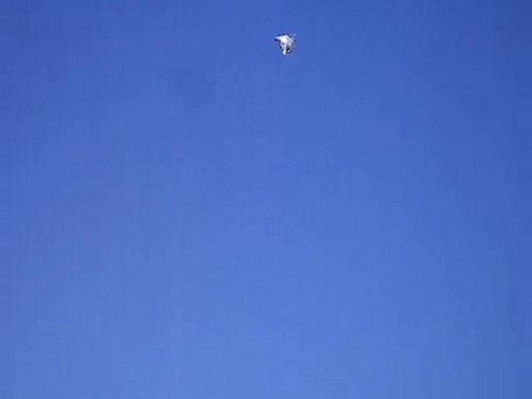 PAŞA KAYA- Eke kuş ,dişi aynalı gök-2