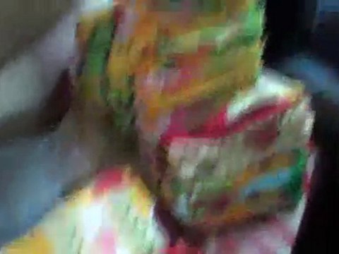 66.takaとkayoの世界旅行★ウランバートル→モスクワinロシア(列車内3日目)世界遺産 動画