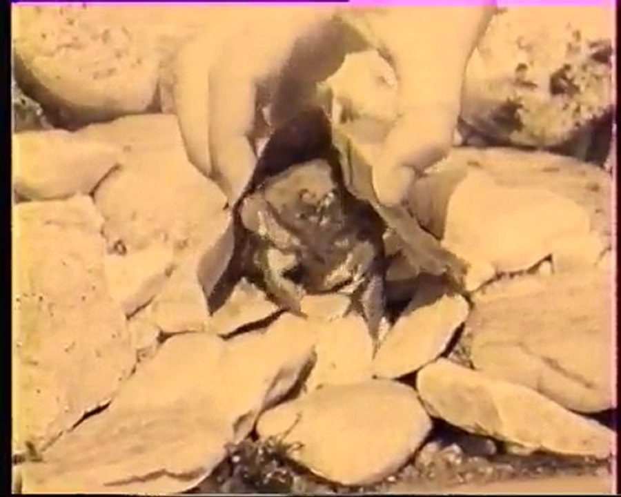 Les inventions de la vie 21 : Mon cher associé 1