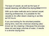 Steam Clean a Carpet with Deep Stains