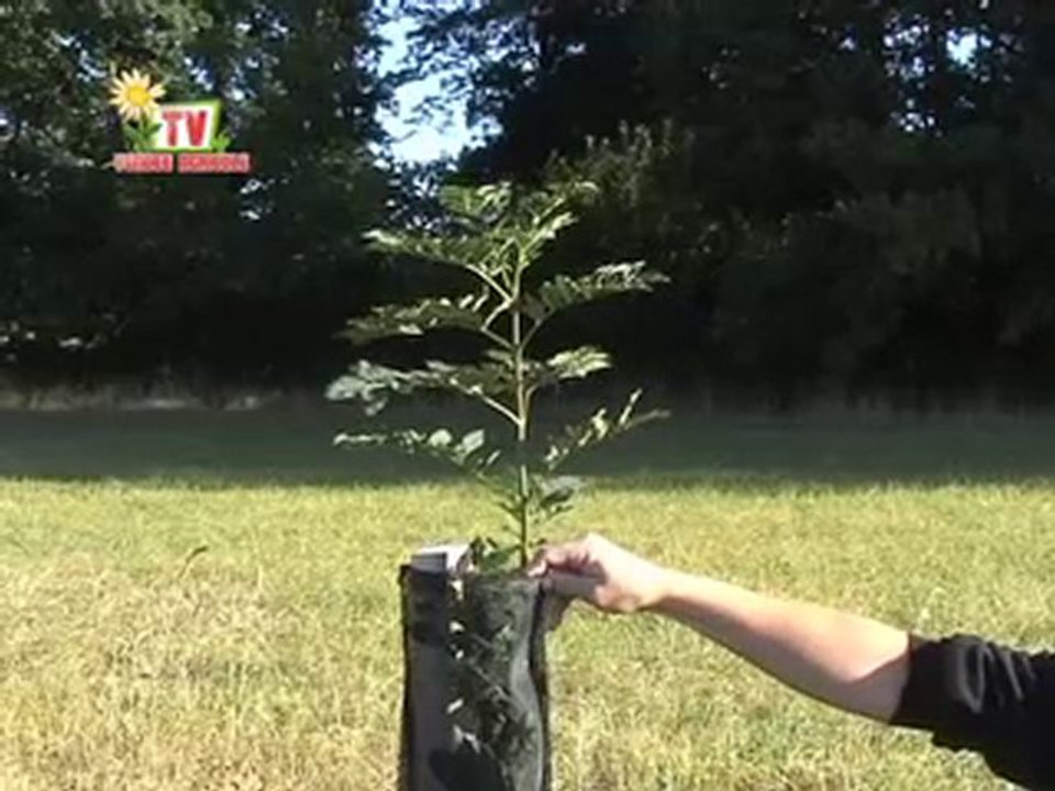 JT Vendée agricole TV du 3 septembre 2010