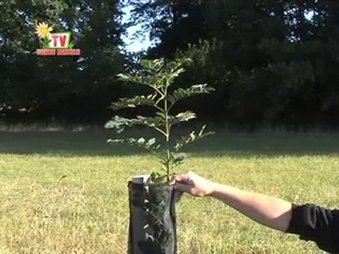 JT Vendée agricole TV du 3 septembre 2010