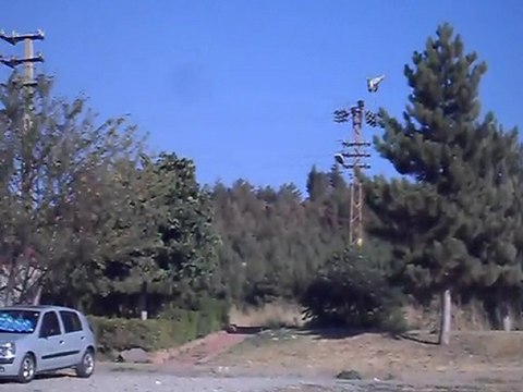 PAŞA KAYA- Eke kuş ,dişi aynalı gök-4