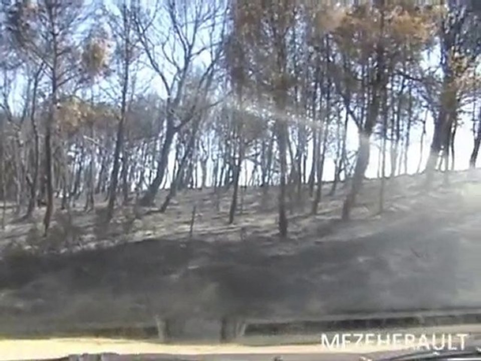 incendie, entre Mèze et Villeveyrac 1.09.2010