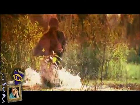 Visum incontra Bertrand Tavernier a Montreal