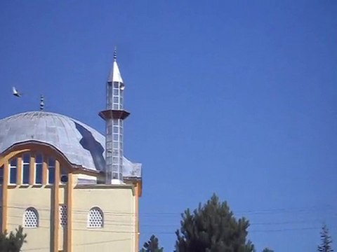 PAŞA KAYA- Eke kuş ,dişi aynalı gök- İNİŞ