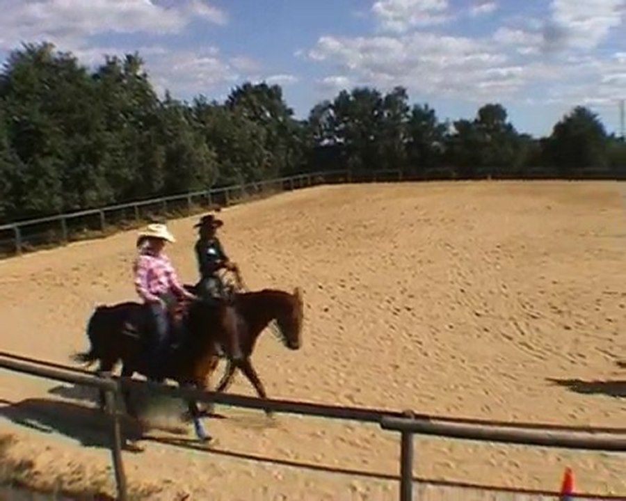 Les crins Verts chevaux d'ecole JPO