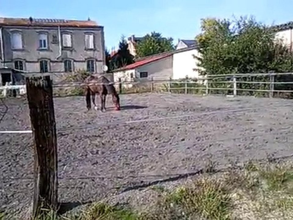 Einstein et son ballon