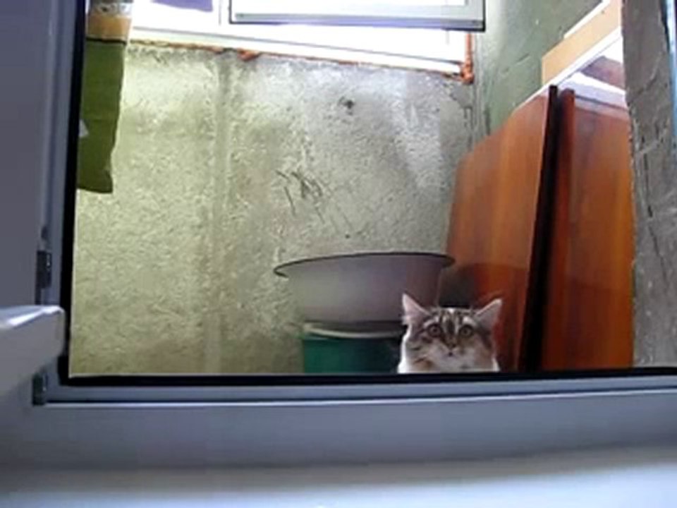 Peeping Tom Caught on Camera