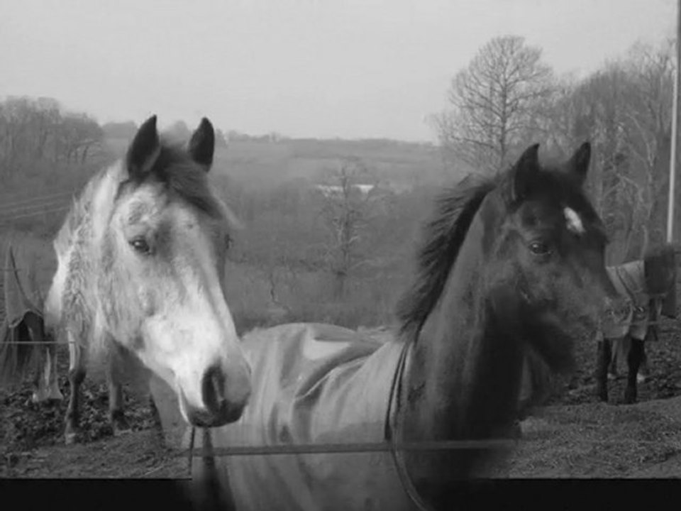 Frimeur && Nico Par des Photos ♥