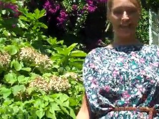 INDIA'S INSIGHTS - Introduction