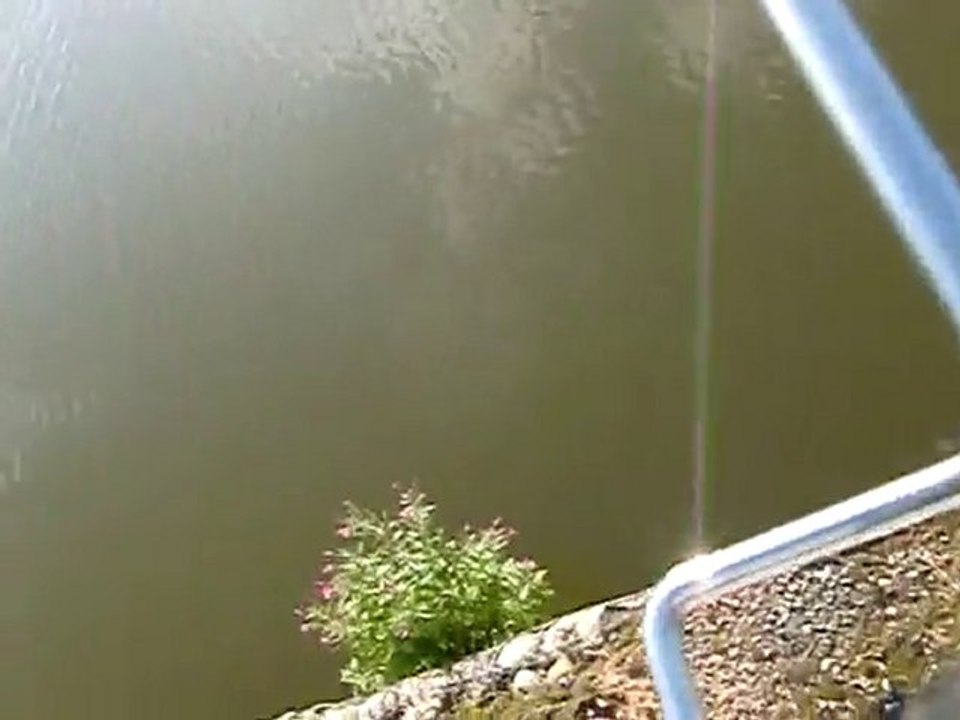 video premiers essais de plongées