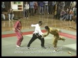 Martial arts kung fu; demonstrations of kung fu by experts