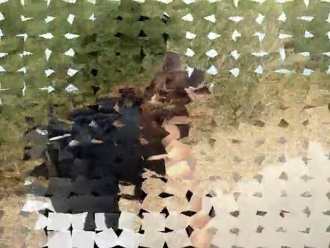 Balade à rollers entre copines à Lattes !