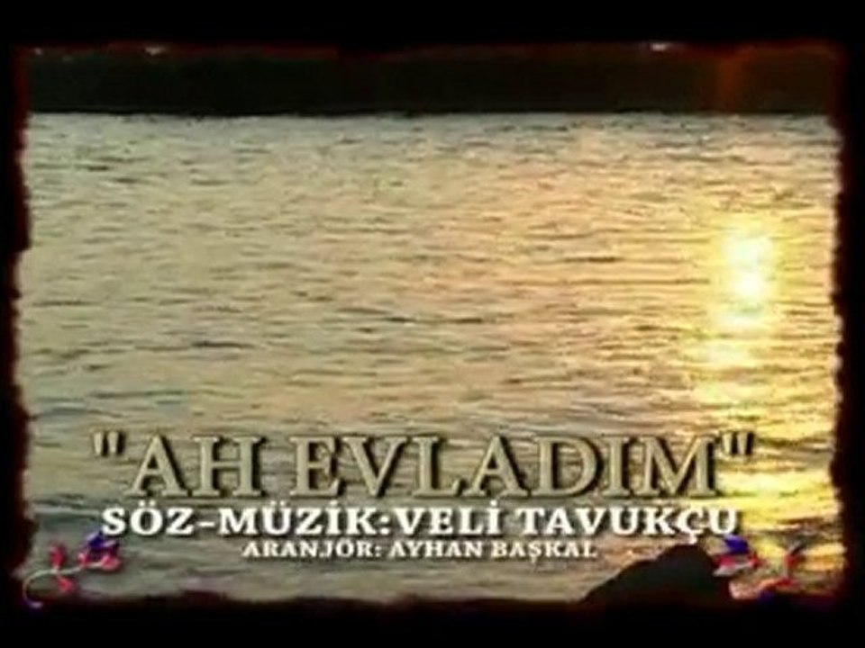 VELİ TAVUKÇU