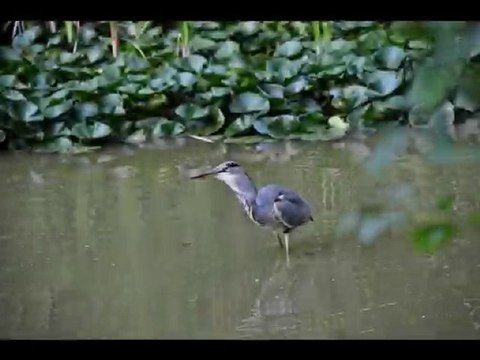 Chronique d'une Tragédie Ordinaire
