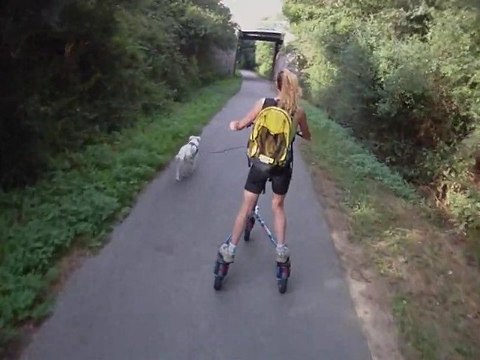 Trikke-Joering: cam. embarquée sur T8-Air (traction canine)