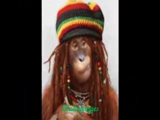 Miondreha ka mangina- Biary. (Garein) - par Cludegeorges