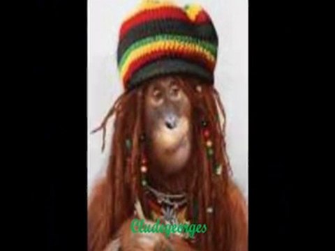 Miondreha ka mangina- Biary. (Garein) - par Cludegeorges