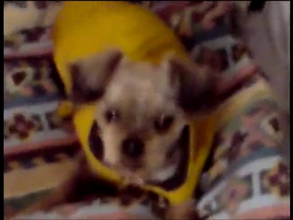 MOUSTIK FILM   MONTAGE VIDEO