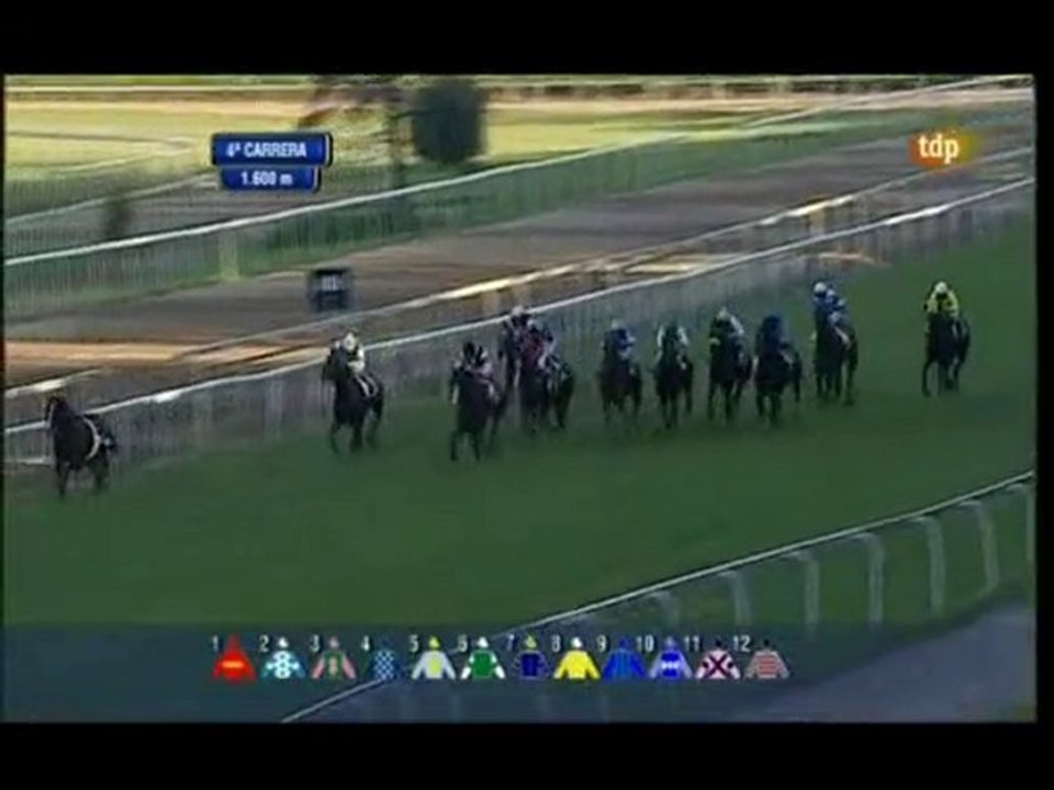 2010.09.03, nº 379 SS (Ortopidia Orbea (Hand 1ªp) NAMIA