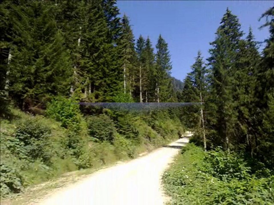 ORDU/MESUDİYE/TOPÇAM (GEBEME)2010