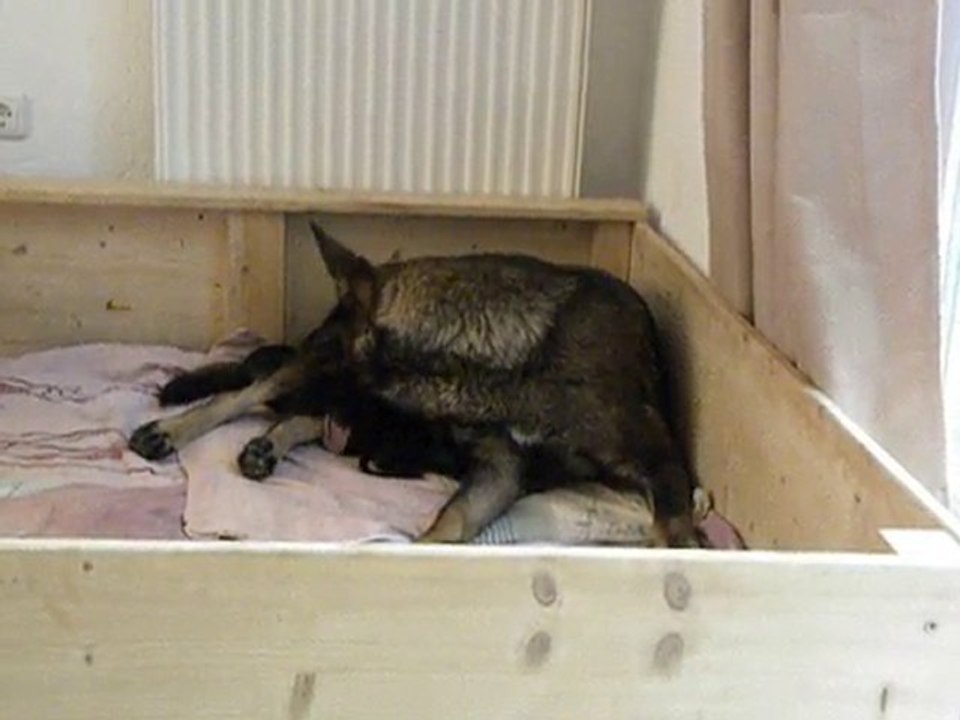 C-Wurf, 1. Tag, 4.9.2010