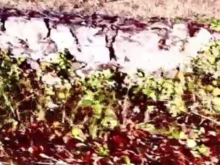 Clip Oasis Wonderwall