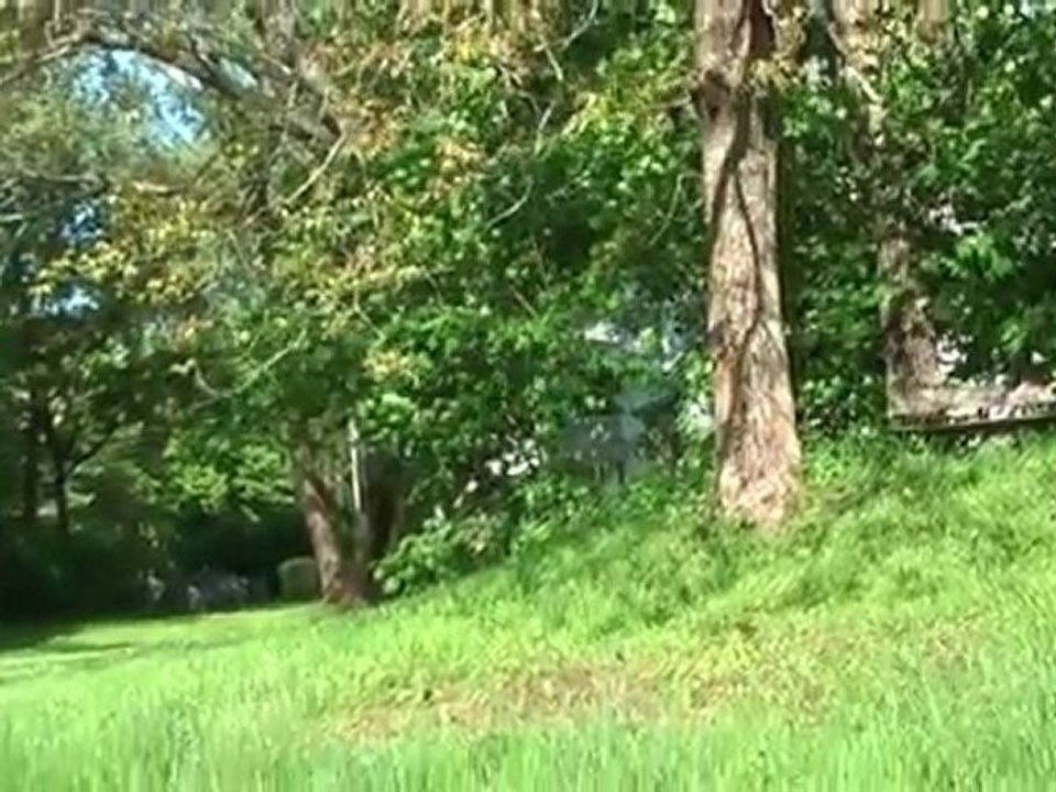 Terrafinanz Stargarder 25 im Mai