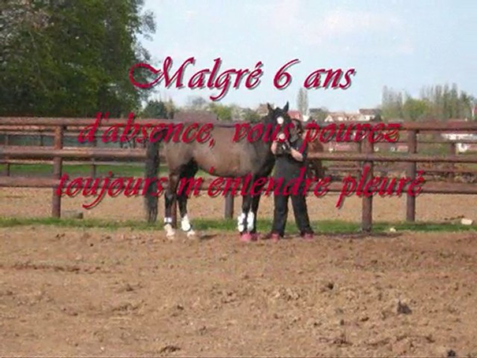 Mon trotteur, kiki des acres