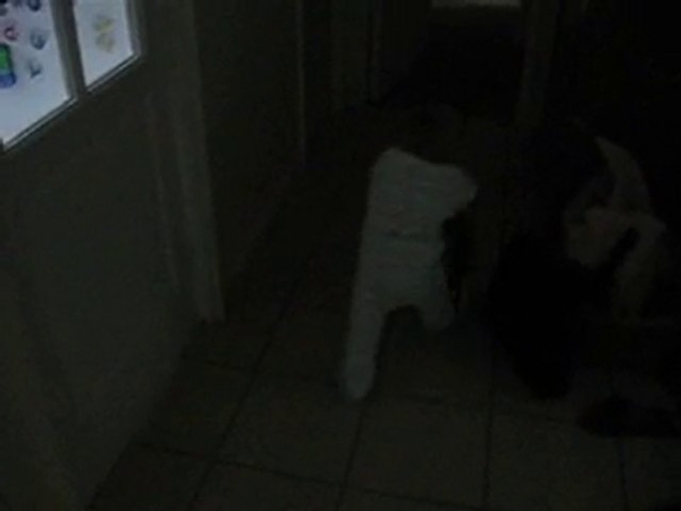 Septembre 2010, Quentin marche avec le chariot