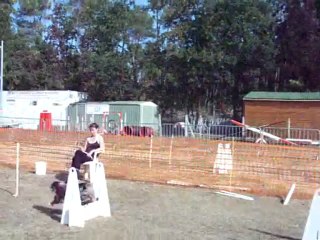 Dove tounois flyball au Mans 4 sept