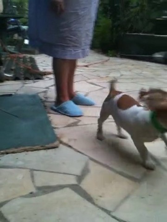 Le retour de Filou ( le petit mangeur de paille)