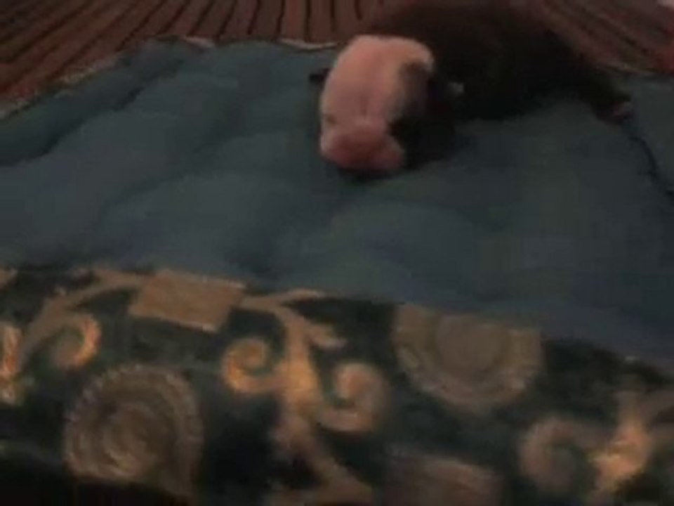 Vidéo0011