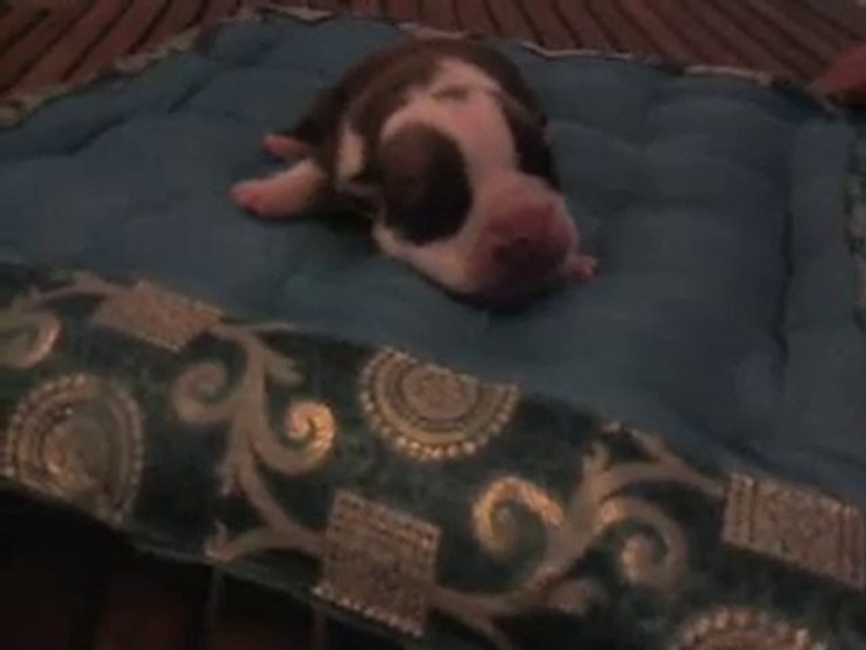 Vidéo0012