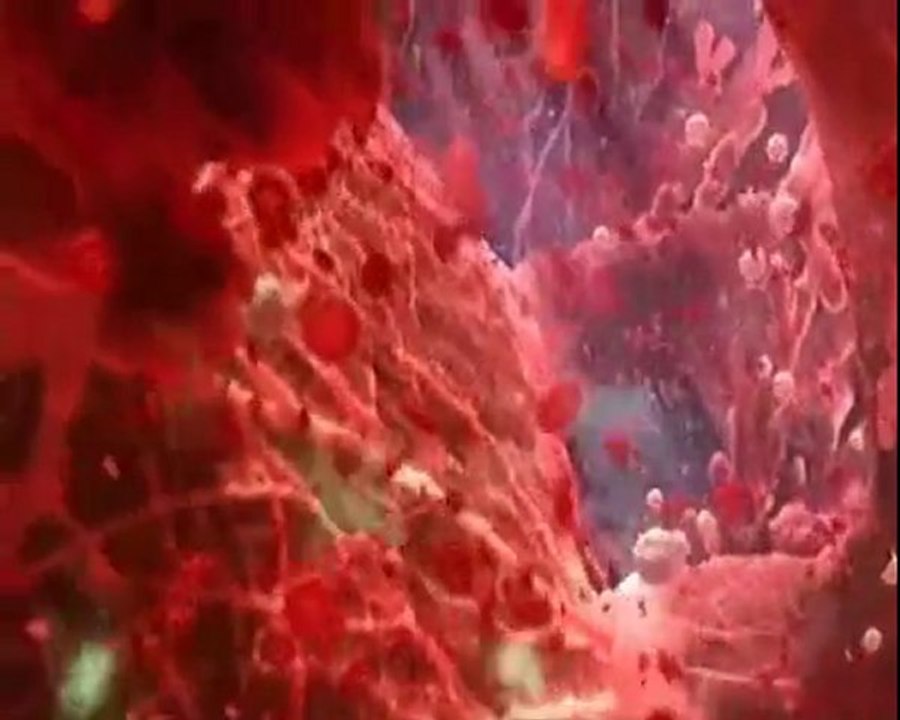 Atom Heart Mother: Pink Floyd