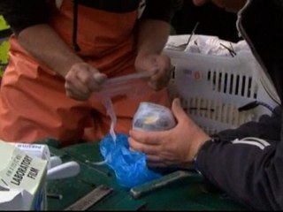 Probably the oldest beer in the world