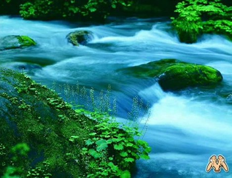 Ney Müzik Eşliğinde Ruhunuzu Dinlendirin