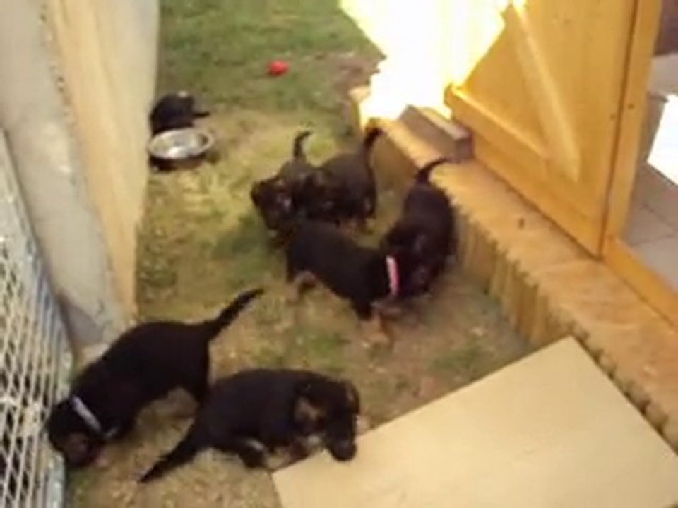 Les bébés de BACCARA suite